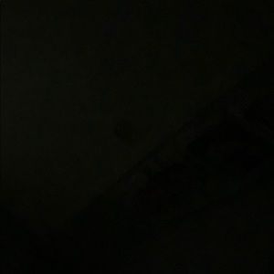 Meet your Posher, Lupe